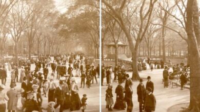Central Park History