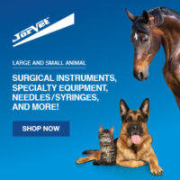 Thumbnail for the listing's main image